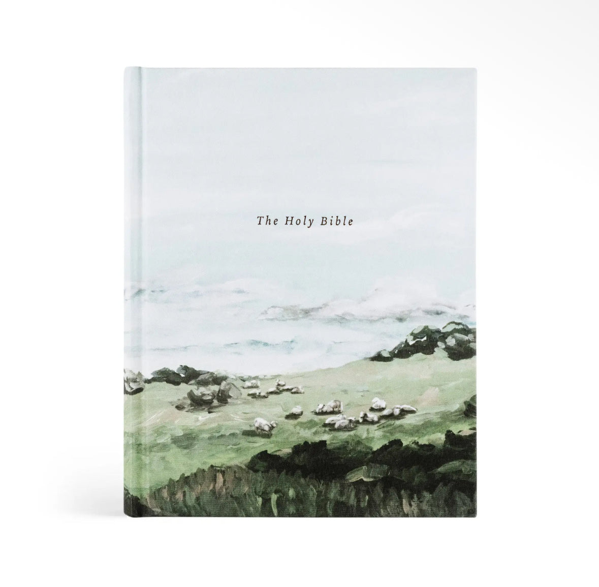 CSB Dublin Notetaking Bible