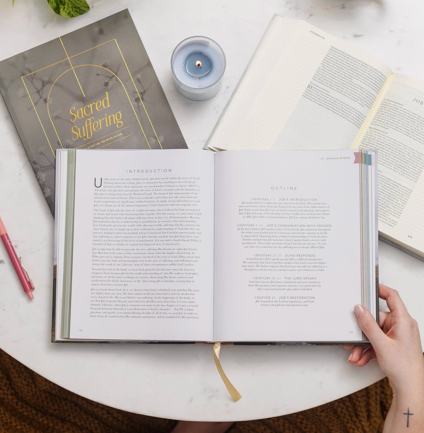 The Daily Grace Co. The Bible Handbook