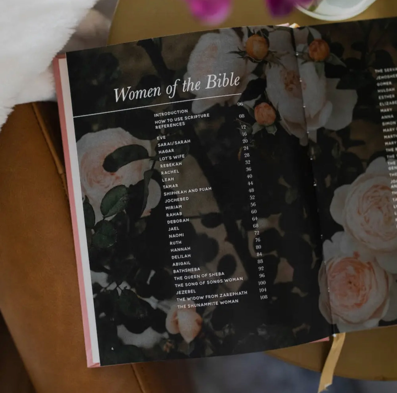 Women of the Bible | Quiet Time Companion Book