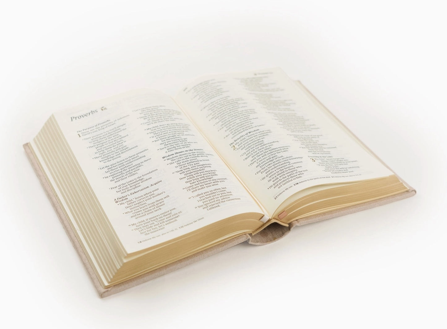 Hosanna Revival NLT Casablanca Bible