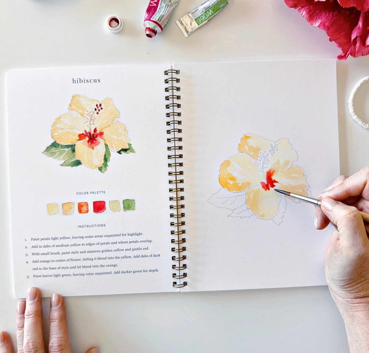 Emily Lex Tropical Watercolor Workbook
