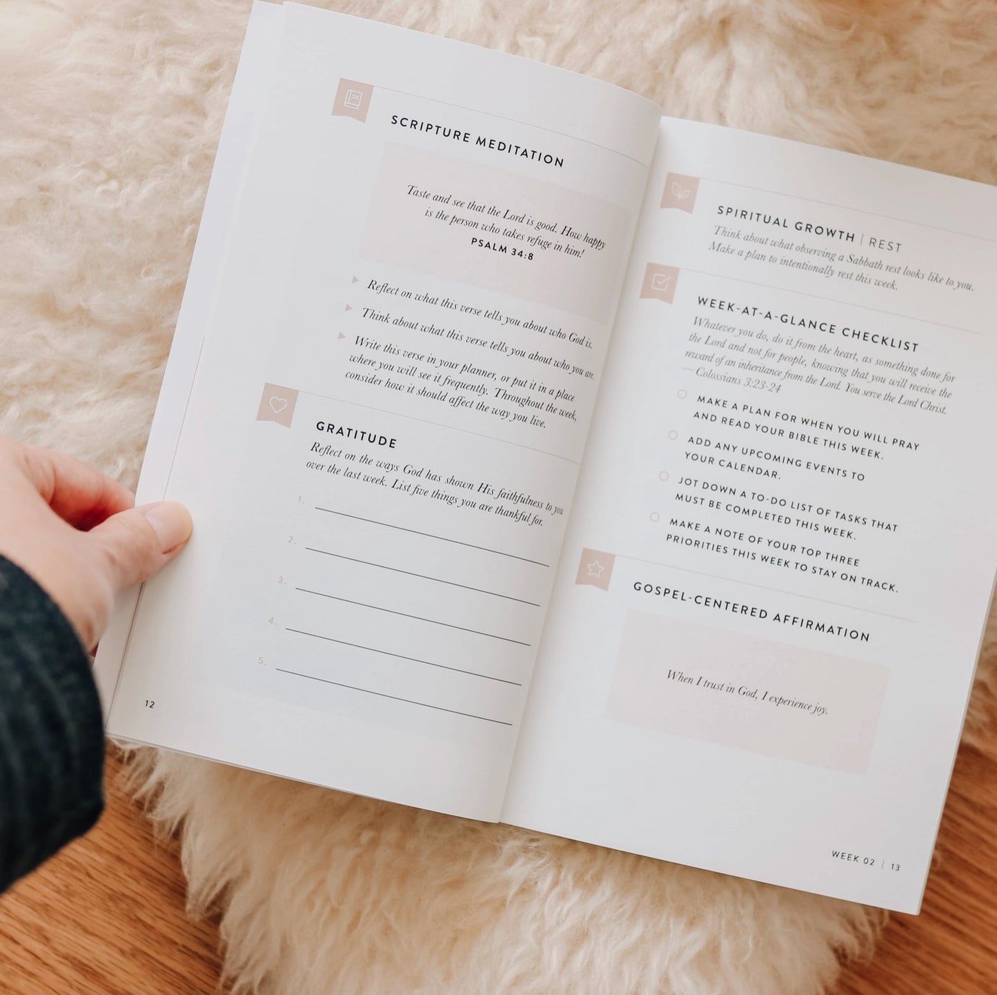 The Daily Grace Co. Fix Your Focus