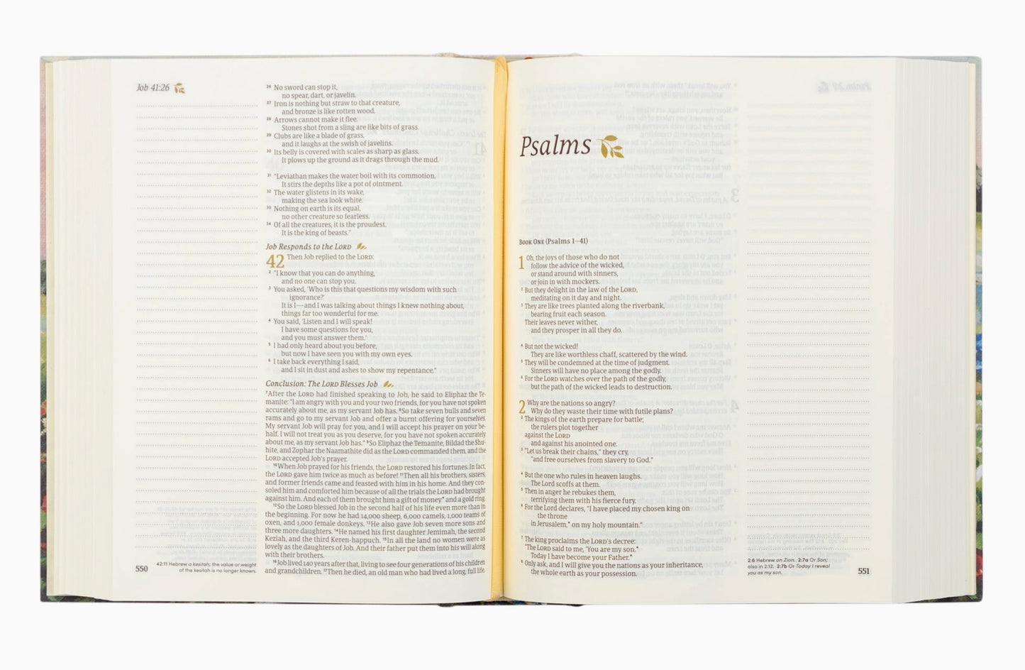 Hosanna Revival NLT Notetaking Bible Coram Theme
