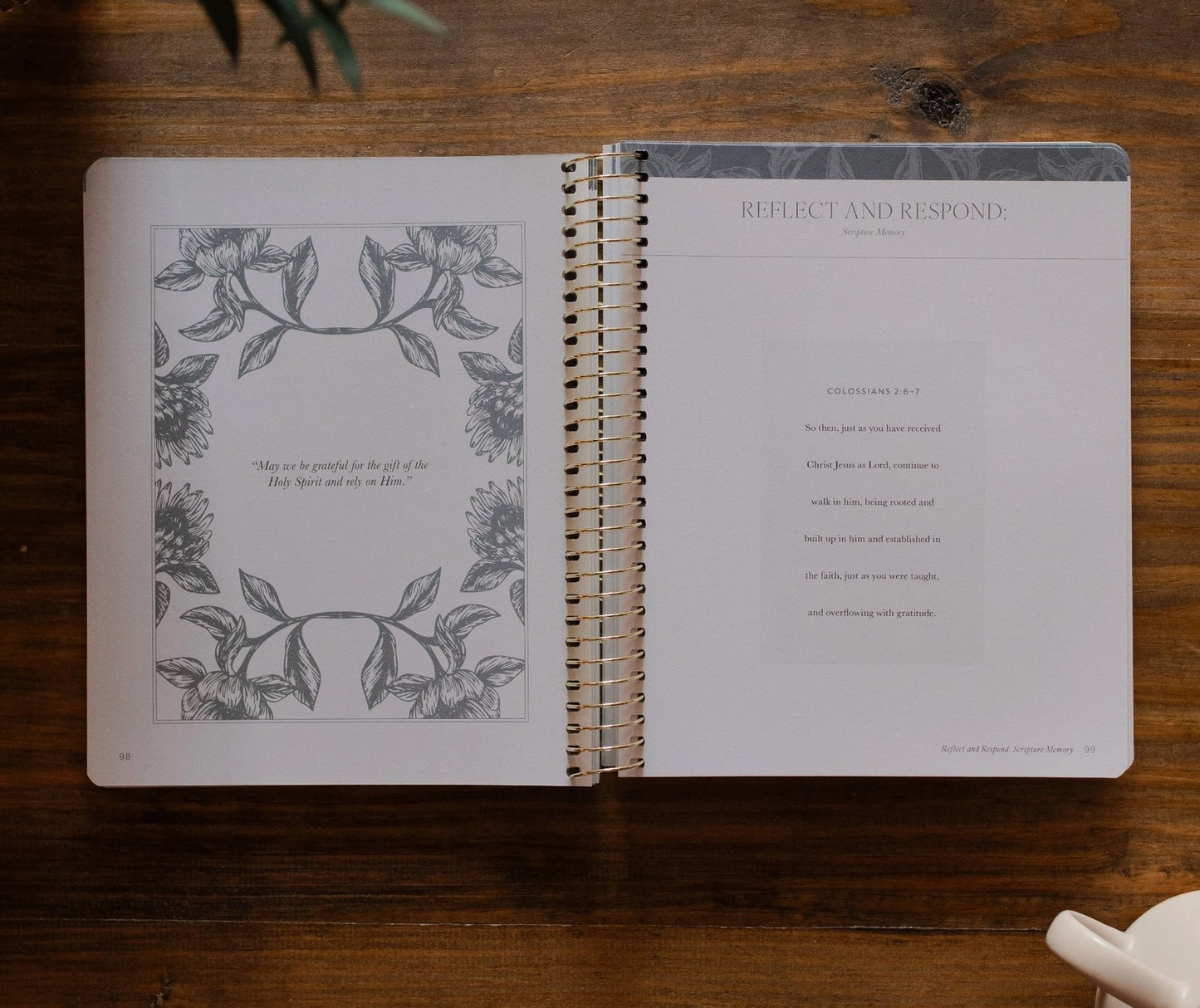 A Year in the Bible l Volume 4 Bible Study
